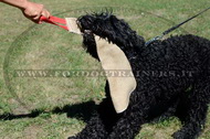 Riporto da mordere in juta per Terrier nero russo Riporto da mordere in juta per Terrier nero russo